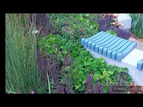 Видео: В поисках приключений на фестивале Сады и люди 2024 #сад #garden #ландшафтныйдизайн проекты и мечты