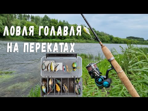 Видео: Ловля голавля на перекатах