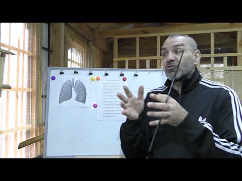 Видео: Души ПО.