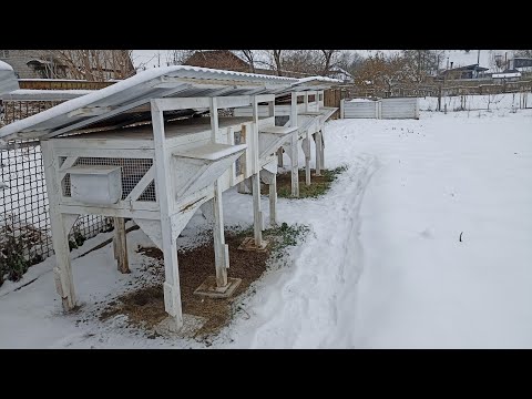 Видео: Тримання кроликів взимку у відкритих клітках на вулиці! Прийшов час відправляти кроликів на веселку.