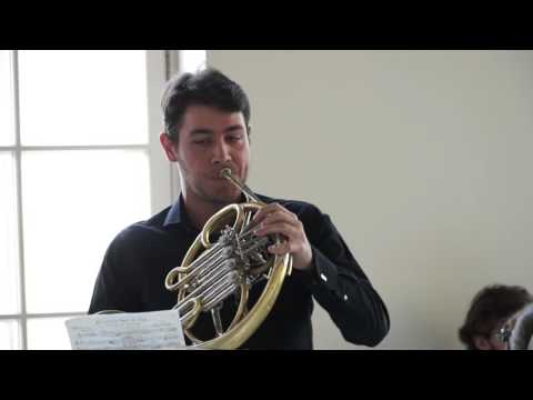 Видео: В. А. Моцарт. Концерт для валторны с оркестром No1 ре мажор