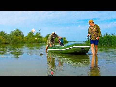 Видео: ОПЯТЬ попали на БЕШЕННЫЙ КЛЕВ, рыбалка на реке ИЛИ, сазан, змееголов, сом, часть 1