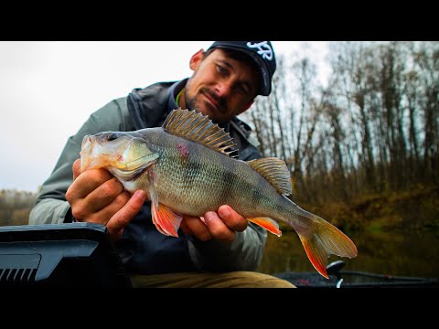 Видео: Только в этих местах держится рыба осенью! Как найти осенью хищника и поймать на джиг. [Пора ловить]