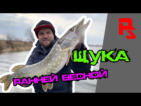 Видео: Эта приманка спасла рыбалку! Щука ранней весной, как ловить пассивную щуку, где искать, как поймать