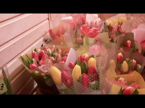 Видео: Букеты на 8 марта. Самая простая упаковка.