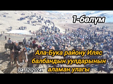 Видео: Ала-Бука району Иляс балбандын уулдарынын аламан улагы 1-бөлүм 04.12.24.