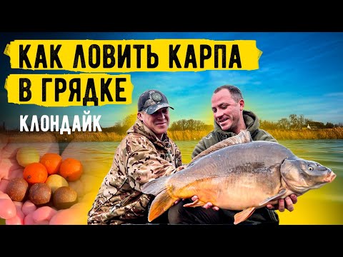 Видео: Ловля карпа и белого Амура поздней осенью, в условиях прессинга. Водоём Клондайк. Розыгрыш насадок.