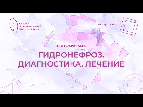Видео: 10.02.24 19:30 Гидронефроз. Диагностика, лечение