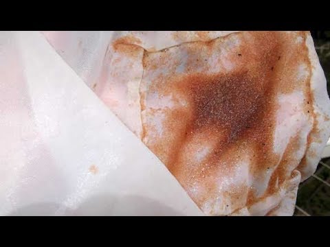 Видео: Дафния разведение в домашних условиях