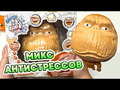 Видео: Обезьяна из ТикТока! Микс антистрессов