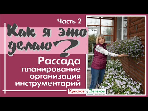 Видео: Чем я пользуюсь при выращивании рассады. Часть 2