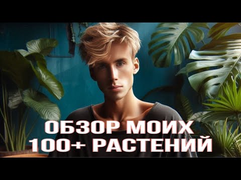 Видео: ОБЗОР 100+ ТРОПИЧЕСКИХ РАСТЕНИЙ в однушке у парня!🍃