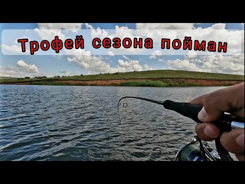 Видео: ТРОФЕЙ СЕЗОНА ПОЙМАН. РЫБАЛКА В ИЮЛЕ НА СПИННИНГ.