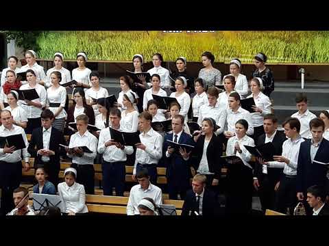 Видео: Се стою у двери.(хор)г Курганинск