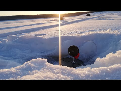 Видео: Рыбалка на щуку в глухозимье. Бурейское водохранилище.  Повторный выезд на Майдакан. Февраль 2020.