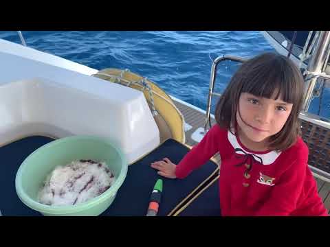 Видео: Вялим тунца