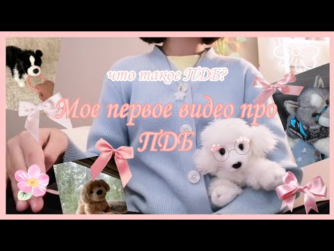 Видео: Первое видео про ПДБ. 🎀//Видео знакомство//ПДБ//Muffin plush dog//
