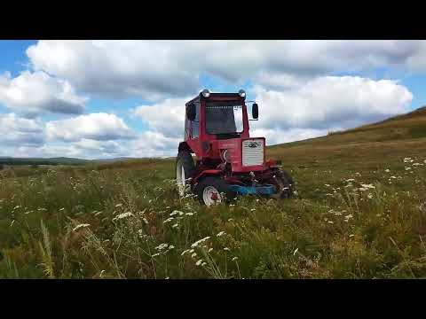Видео: Т-25. Покос травы/сенокос.#трактор#т-25#косилка