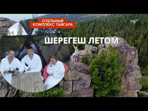 Видео: Семейный отдых в ШЕРЕГЕШЕ: Верблюды, ферма альпак и мечта интроверта в отеле "ТАЙГАРА"🐫🦙🏕