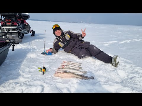 Видео: Ловим весеннего судака с отцом на водохранилище.  А еще попался ОН...