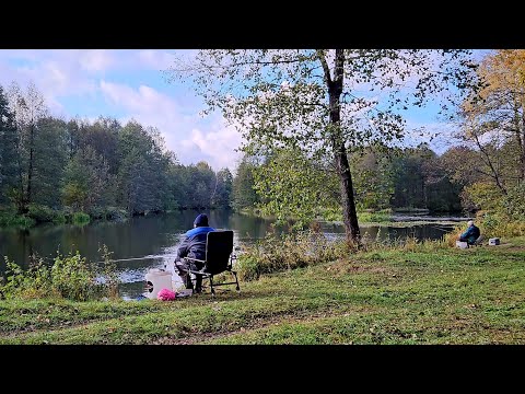 Видео: Две Ночи и Два Места на Реке Друть! Рыбалка с Ночевкой. Лещ в Октябре на Друти. Рыбалка на Фидер.