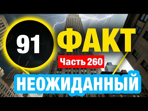 Видео: 91 Неповторимый Факт В Который Сложно Поверить
