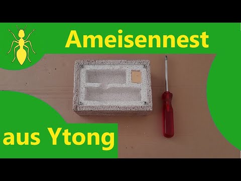 Видео: Постройте муравейник из Итонга