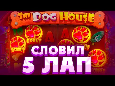 Видео: СЛОВИЛ 5 ЛАП ПО СТАВКЕ 500Р В THE DOG HOUSE MEGAWAYS!!МЕГАЗАНОСНЫЕ БОНУСКИ И ЛЮТЫЕ СПИНЫ!!!