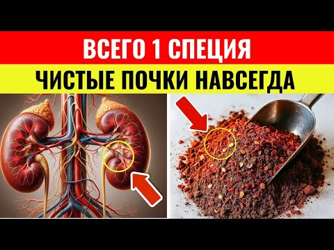 Видео: ПОЖИЛЫЕ: ТОП-1 специя для очищения почек мгновенно! Врачи в шоке от её силы | Здоровье пожилых