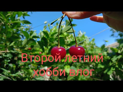 Видео: Второй летний #хоббивлог #распаковка #раскраска @marisasworld5334 Мир Марисы 💖
