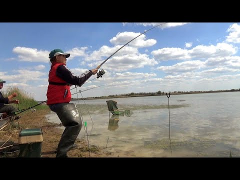 Видео: Клёв крупного карася. Еле подняли садок.
