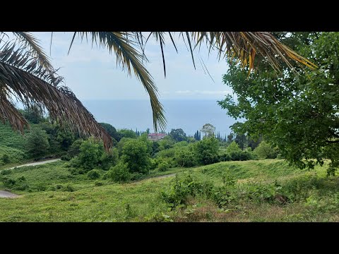 Видео: Выходные в Абхазии. День первый.