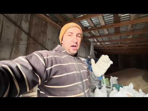 Видео: ОГО❌ЦІНИ на ЗЕРНО, КАЛЬКУЛЯТОР не Помиляється, ПігБіотик перше Враження 