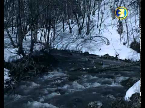 Видео: Венер Камалов - Бейеш