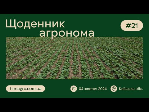 Видео: Система захисту ріпаку в осінньо-весняний період / ЖИТОМИРЩИНА / ЩОДЕННИК АГРОНОМА #21