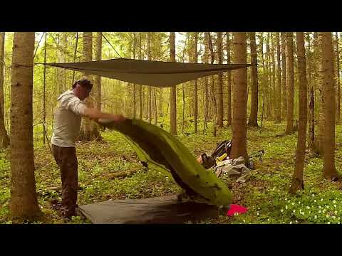 Видео: Майский сплав по дебрям Новгородской области, р.  Оскуя. 1я часть.