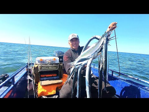 Видео: САРГАН ПОШЕЛ!!! ДА ТУТ ЕГО ТОННЫ!!! Рыбалка в Балтийском море в мае 2024