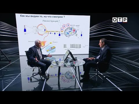Видео: Как наш мозг воспринимает окружающий мир