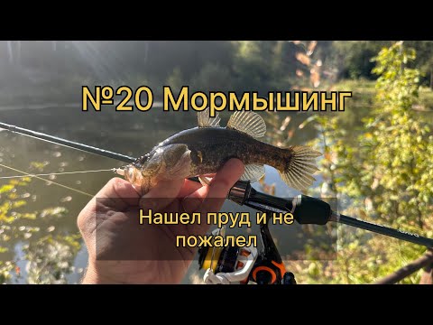 Видео: №20 Мормышинг. Нашел пруд и не пожалел….#youtube #мормышинг