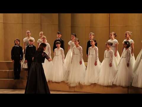 Видео: Песня о земной красоте (Я. Дубравин)