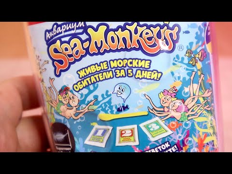 Видео: Морские Обезьянки Живые Существа из икринок Sea Monkeys - Артемии