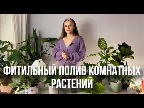 Видео: Фитильный полив комнатных растений