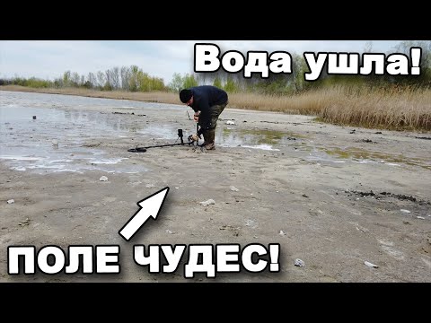 Видео: Поле ЧУДЕС под ВОДОЙ!  В поисках сокровищ / In search of treasures