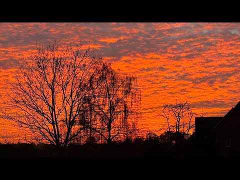 Видео: Мокрый район (Slowed + reverb)