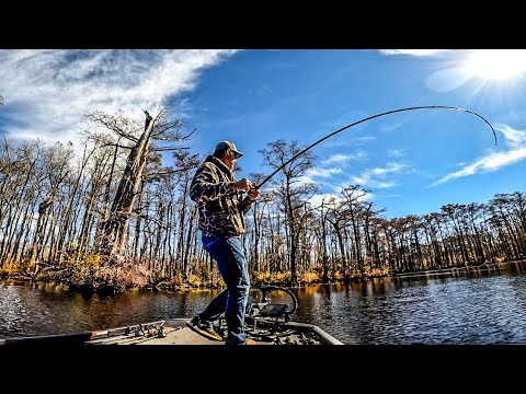 Видео: Кусочки ЧАТТЕРБЕЙТОВ для ловли ОКУНЯ ПОЗДНЕЙ ОСЕНЬЮ!!!