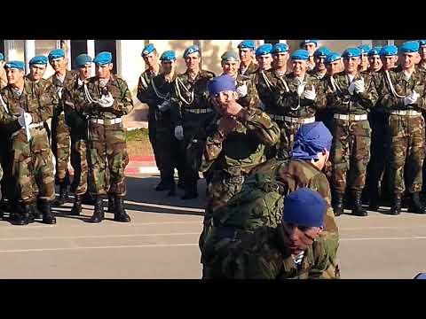 Видео: Ката дшб 08362