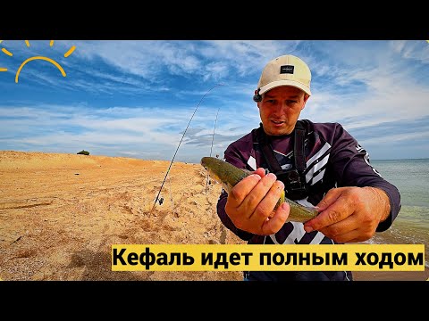 Видео: Кефаль идет полным ходом рыбалка 2025