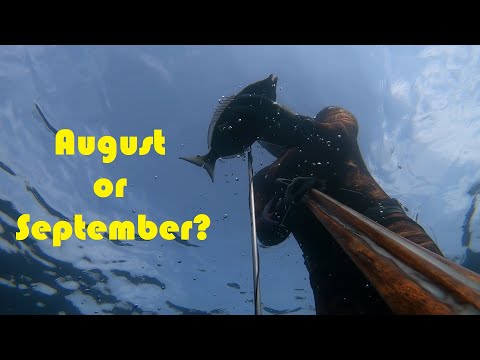 Видео: Подводен риболов в Черно Море в края на август и началото на септември