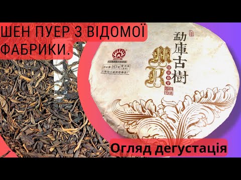 Видео: Чай Шен Пуер від топової китайської фабрики Менгдай – ГуШу "Давнє дерево Менку"