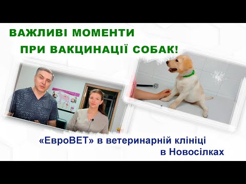 Видео: Основи вакцинації собак / Основы вакцинации собак / Basics of dog vaccination